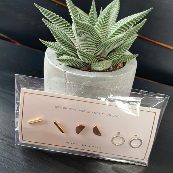 Jewelry - New in package, Foxy originals studs.